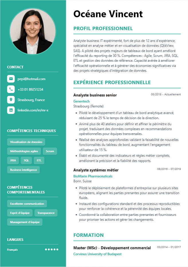 CV version 5