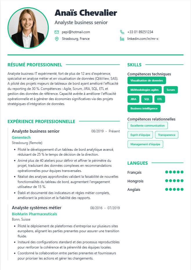 CV version 8