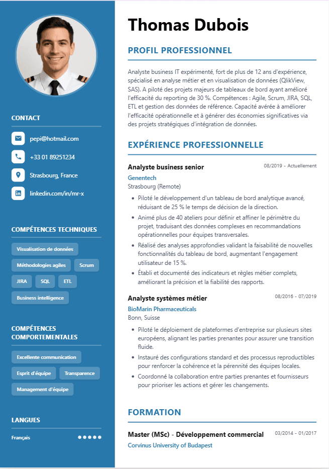CV version 1