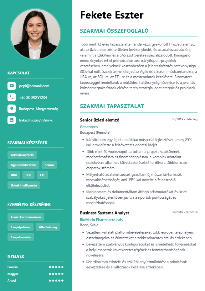 CV version 5