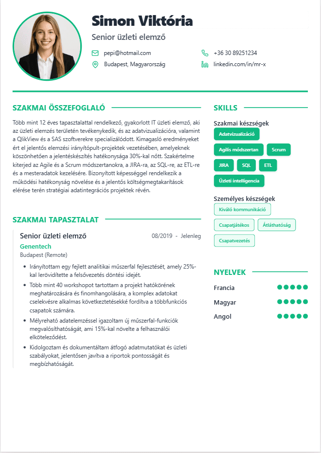 CV version 8