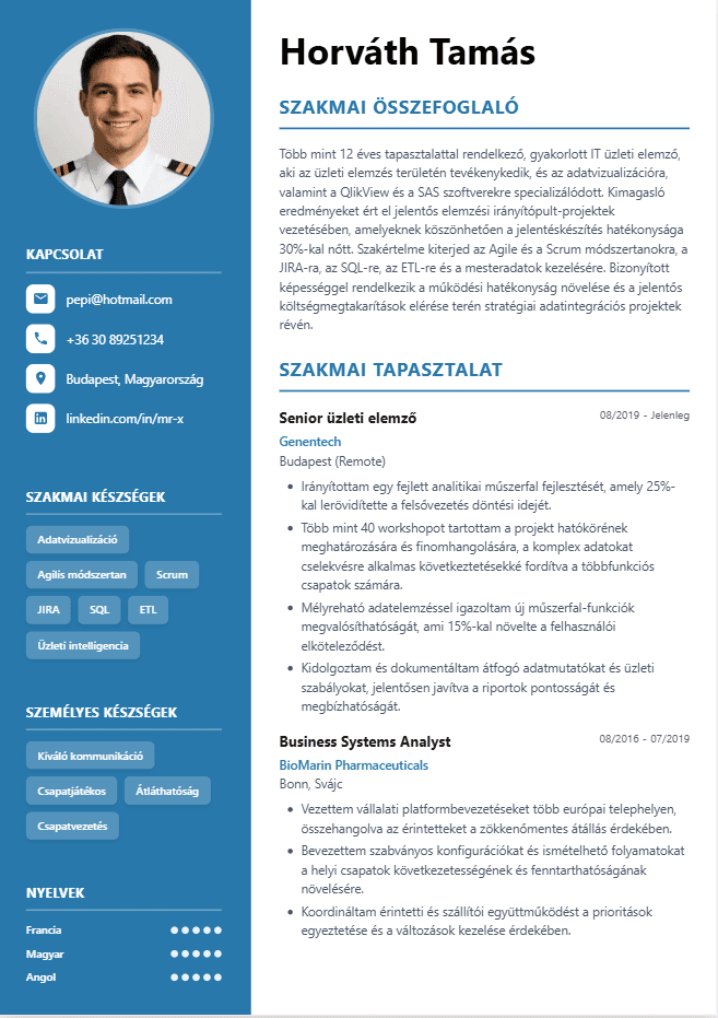 CV version 1