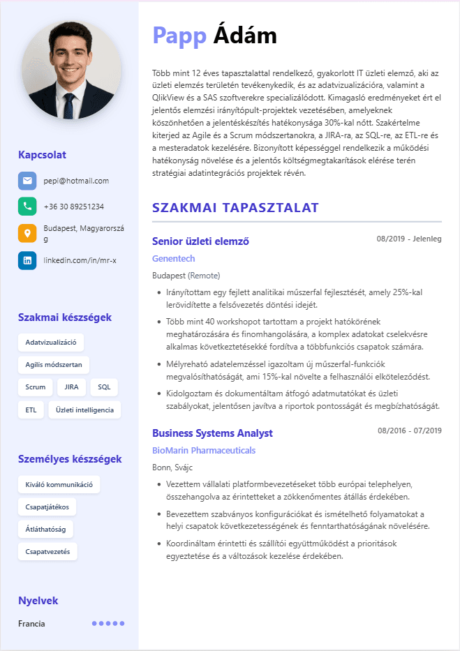 CV version 6