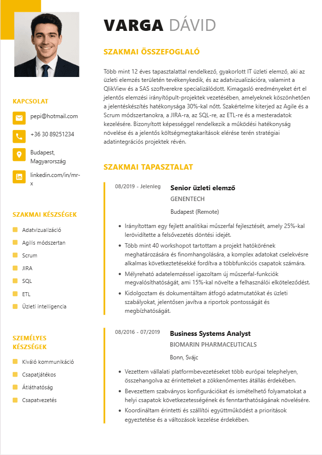 CV version 3
